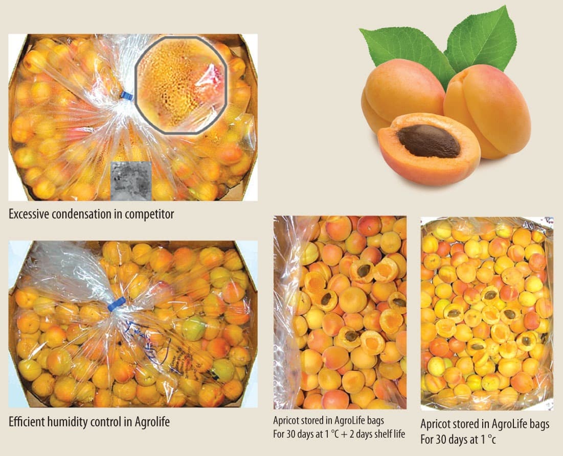 Lifepack produce gallery 2