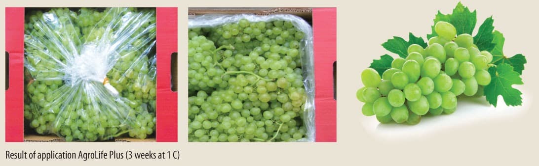 Lifepack produce gallery 3