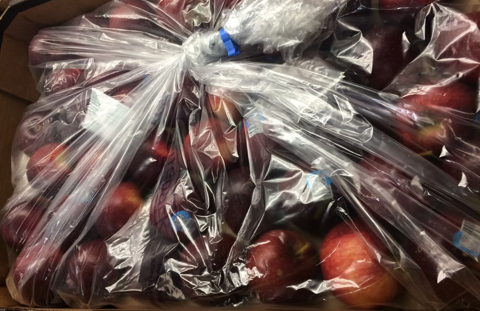 Lifepack produce gallery 8