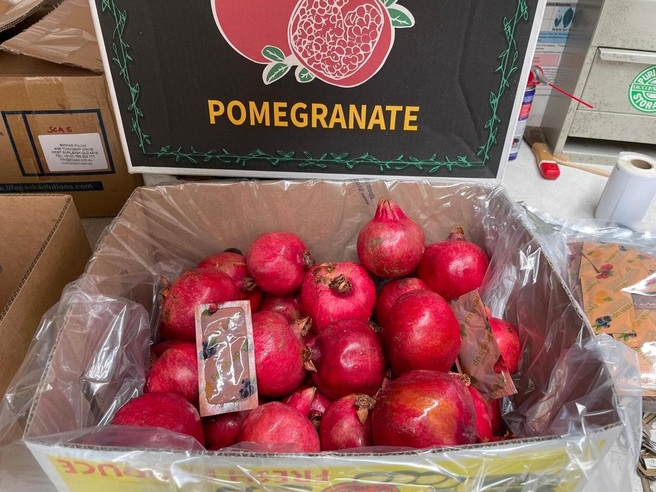 Lifepack produce gallery 11