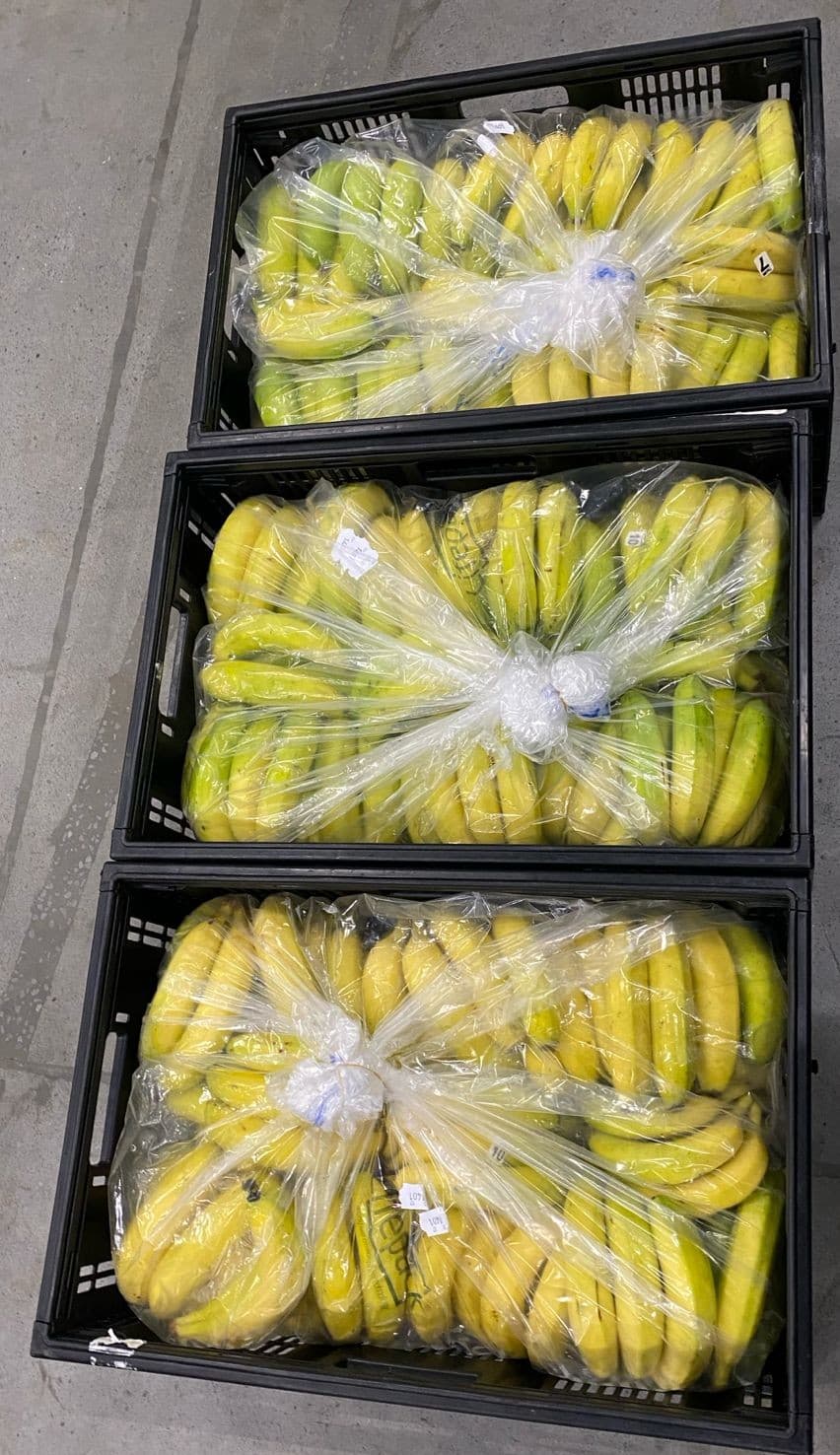 Lifepack produce gallery 16