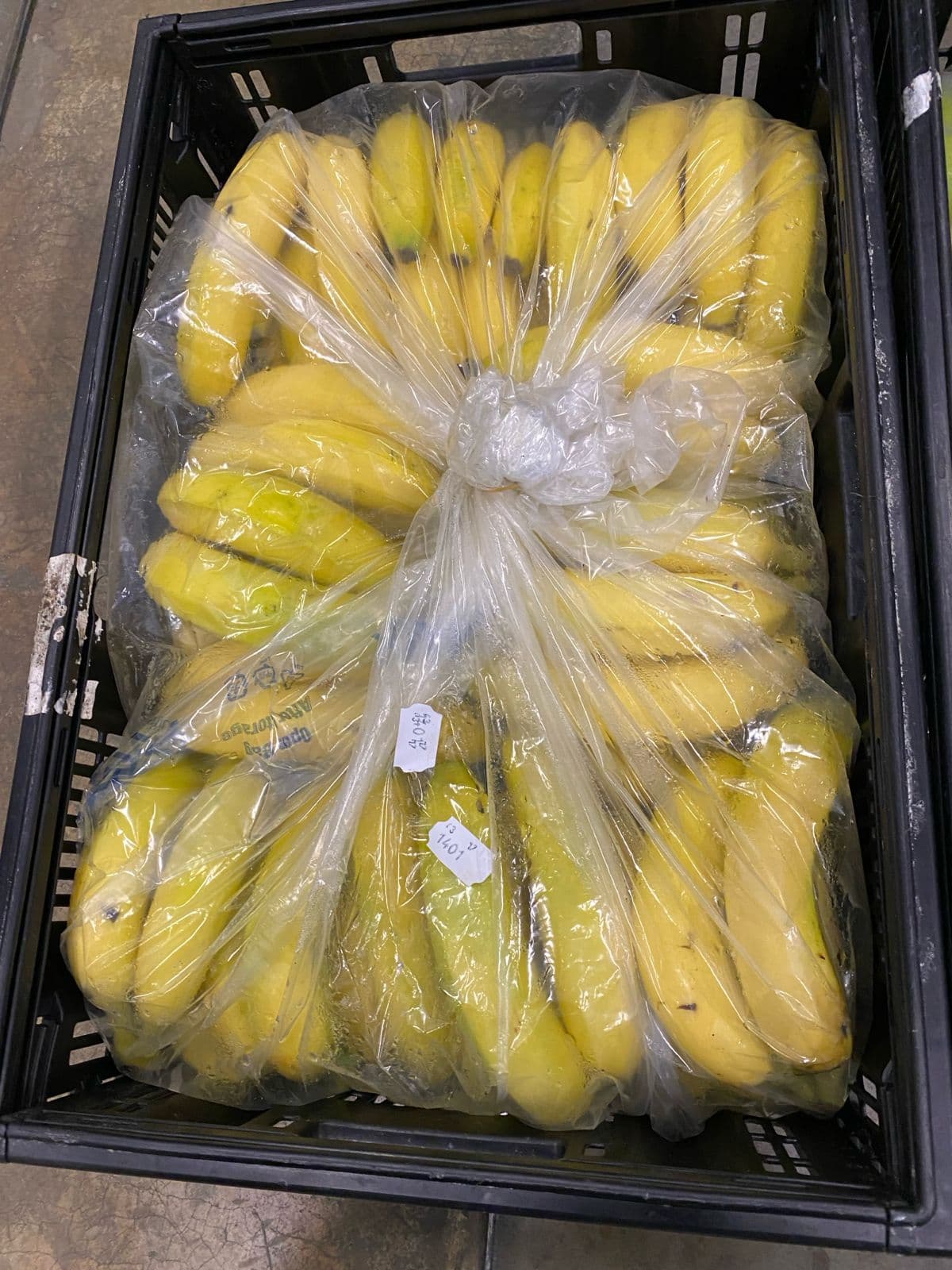 Lifepack produce gallery 17