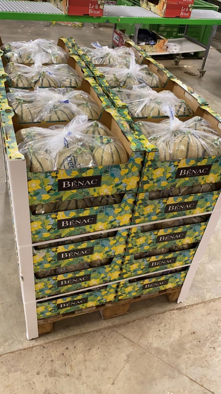 Lifepack produce gallery 19