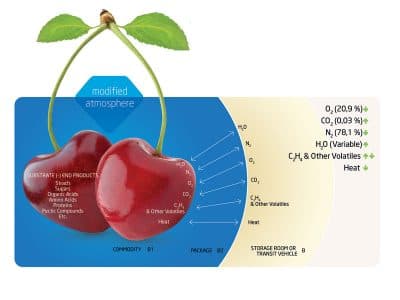 Cherries packaged in Lifepack MA/MH bag demonstrating how it works