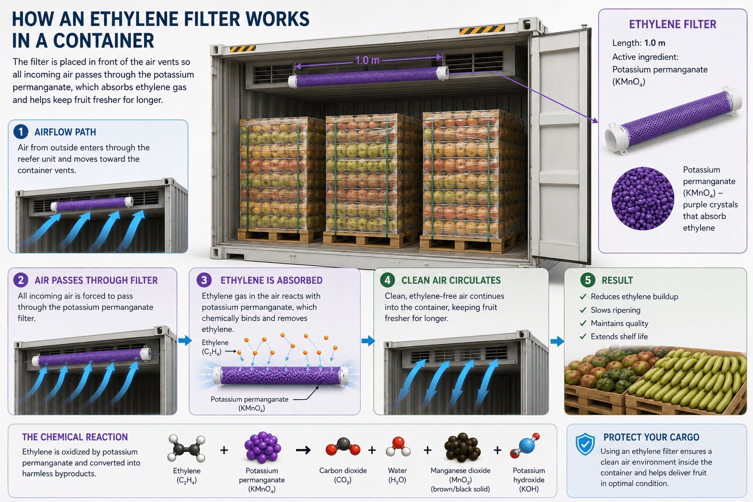 How an ethylene filter works inside a shipping container — airflow path, absorption, clean air circulation and the chemical reaction