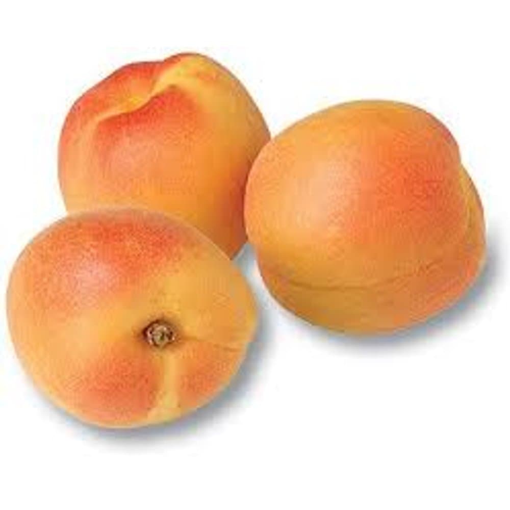 Apricot