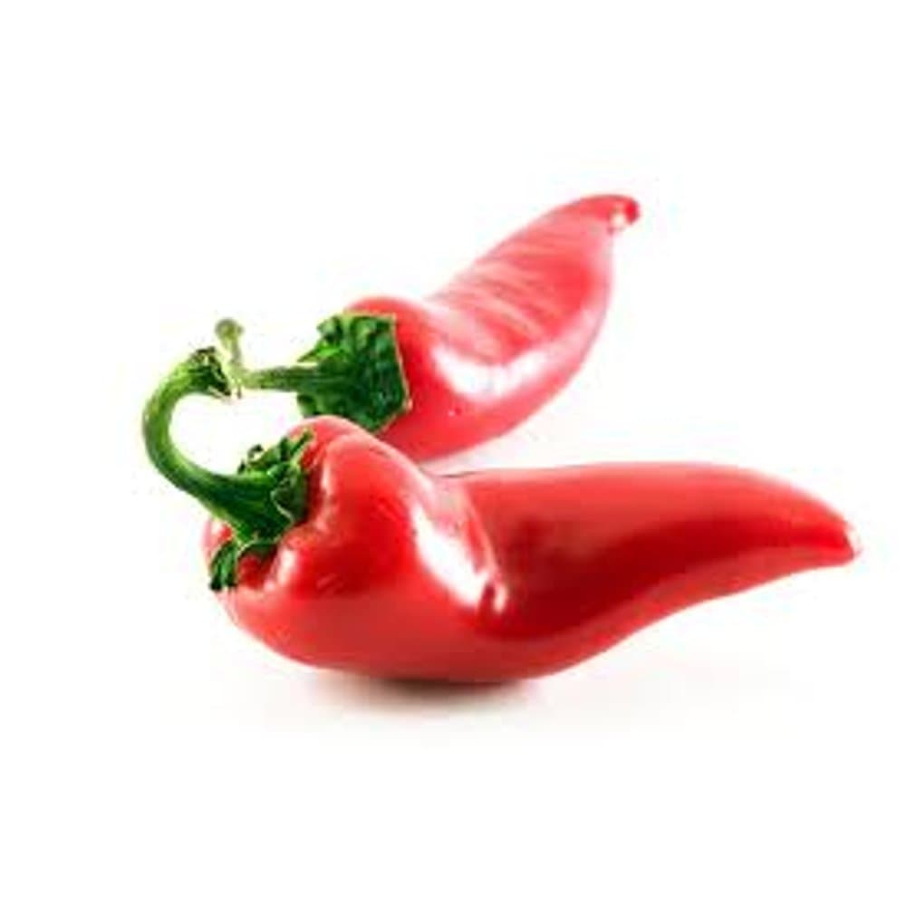 Capsicum