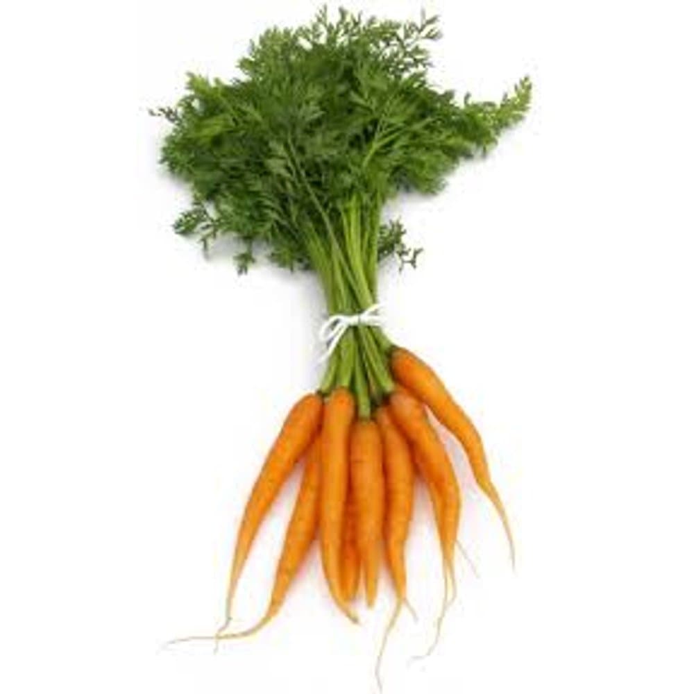 Carrot
