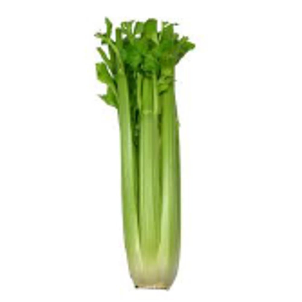 Celery