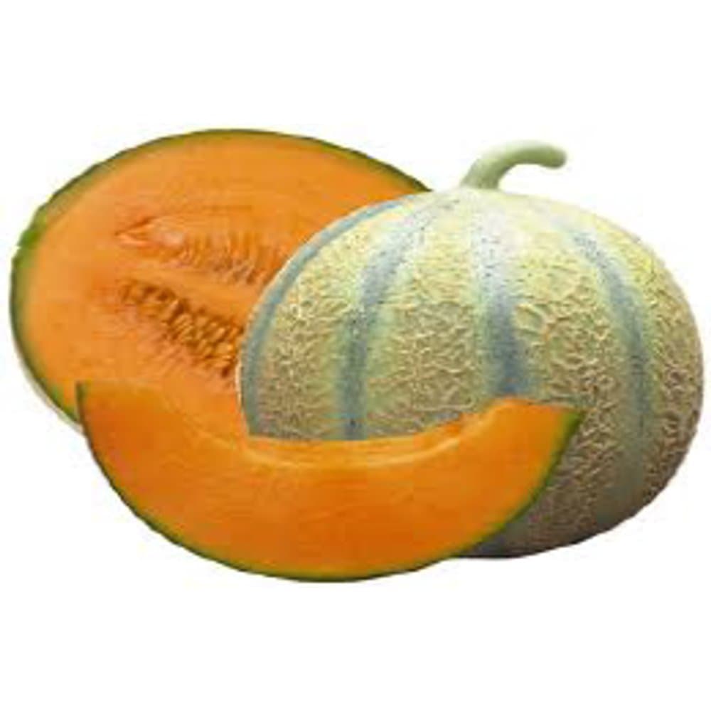 Charentais Melon