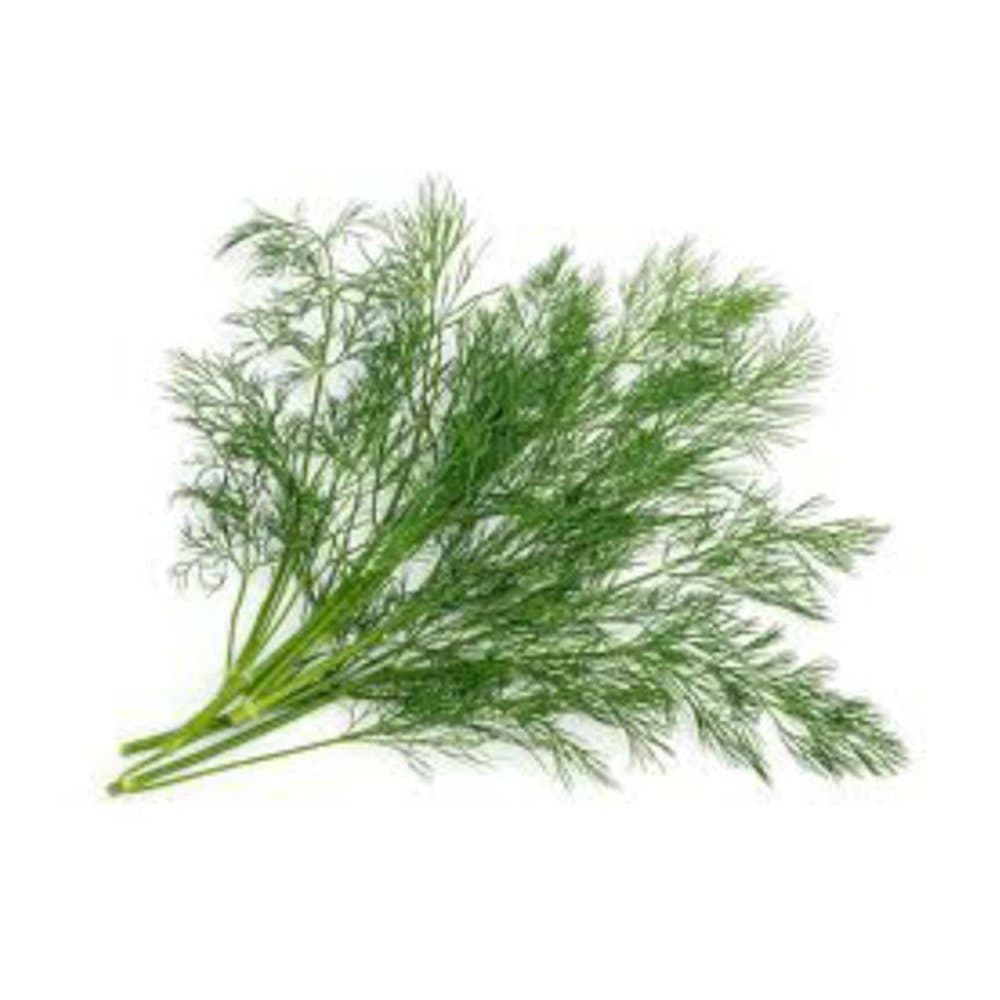 Dill