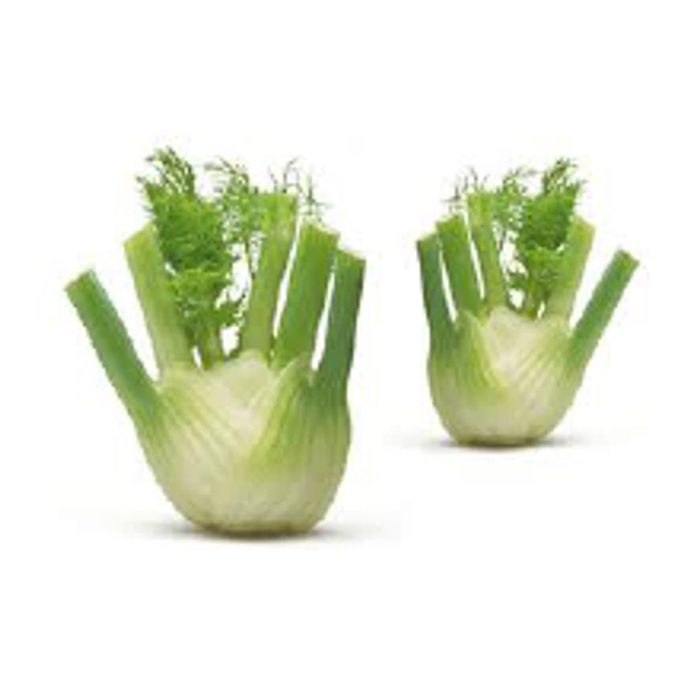 Fennel