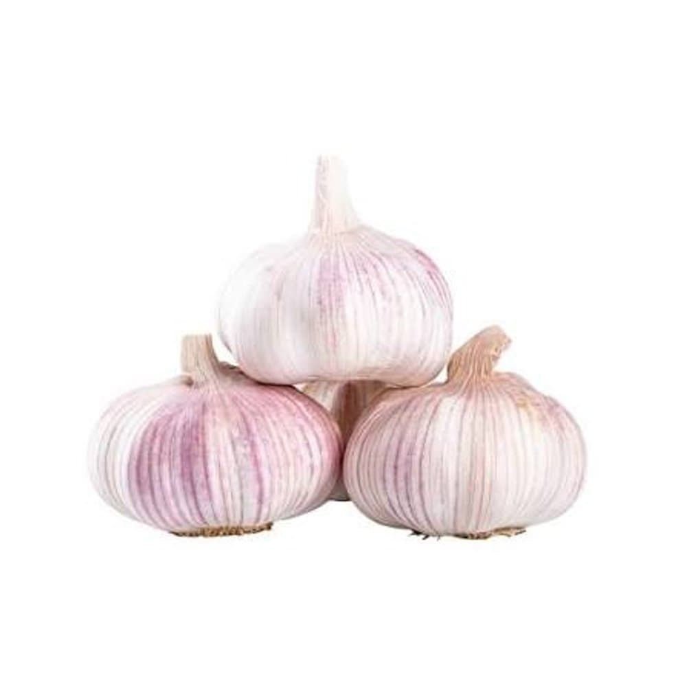 Fresh Garlic