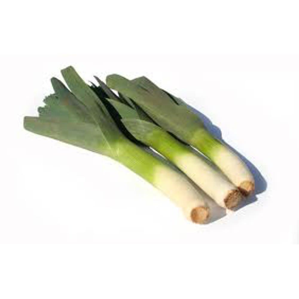 Leek