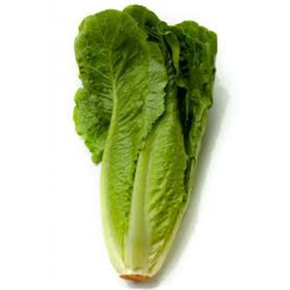 Lettuce