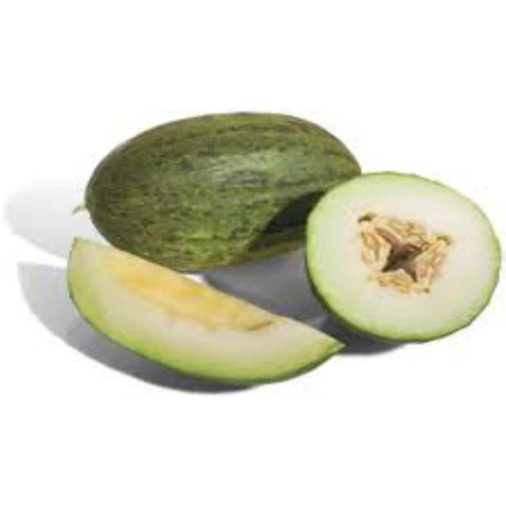 Piel de Sapo Melon