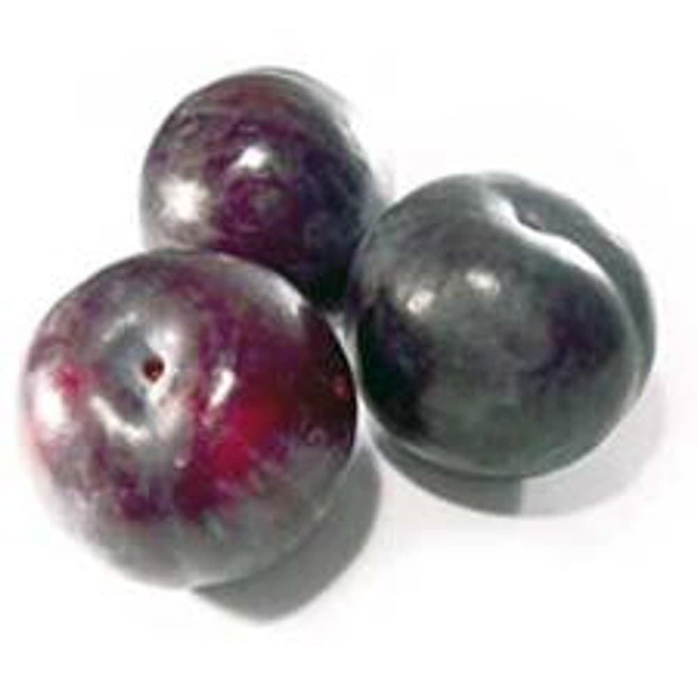 Plum