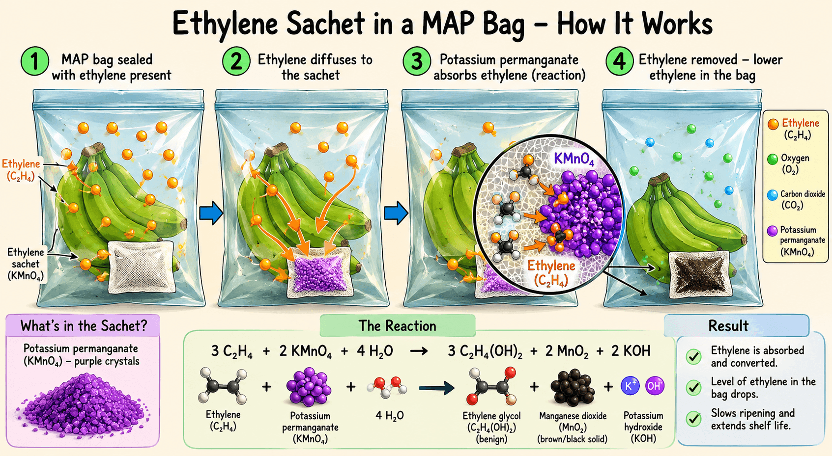 Ethylene sachet in a MAP bag — how it works diagram showing absorption stages and the chemical reaction